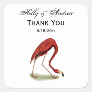 Sticker Carré Flamant rose rose vintage #1