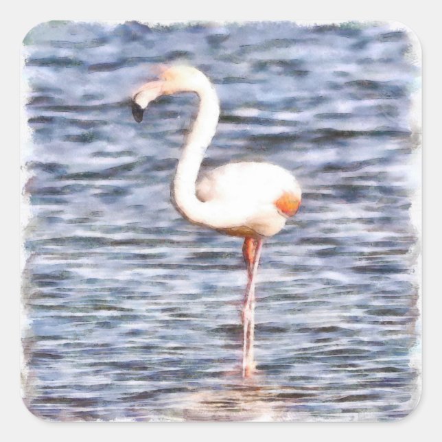 Sticker Carré Flamant rose sauvage (Devant)