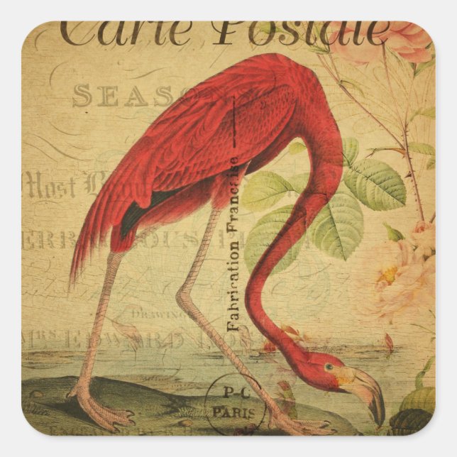 Sticker Carré Flamant rose Vintage carte postale (Devant)