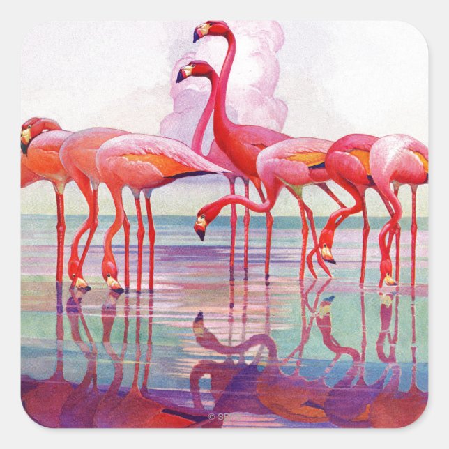 Sticker Carré Flamants roses roses par Francis Lee Jaques (Devant)