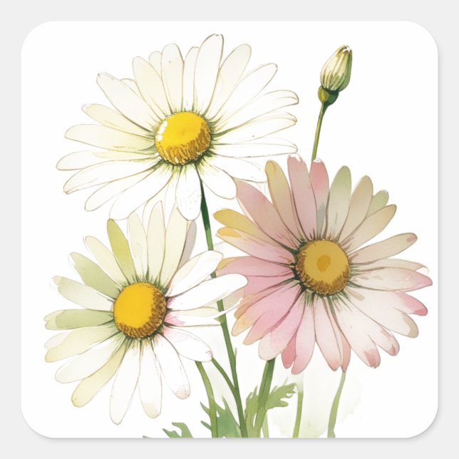 Sticker Carré Fleur aquarelle Daisy Moderne Professionnelle (Devant)