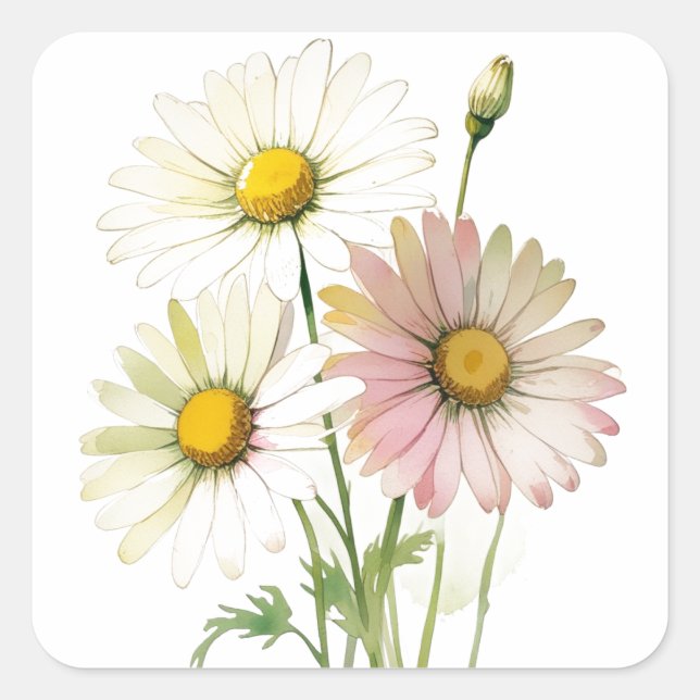 Sticker Carré Fleur aquarelle moderne professionnelle Daisy (Devant)