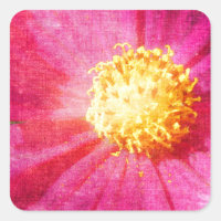 Fleur Cosmo