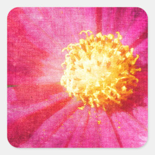 Sticker Carré Fleur Cosmo