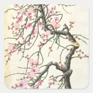 Sticker Carré Fleur de pêche (couleur sur le papier)