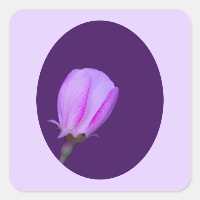 Sticker Carré Fleur de printemps rose et violet (Devant)