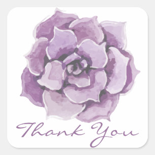 Sticker Carré Fleur de remerciement Succulente violette Aquarell