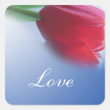 Fleur de tulipe rouge unique