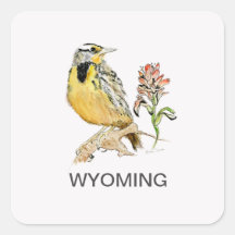 Fleur d'oiseau du Wyoming