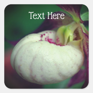 Sticker Carré Fleur d'orchidée blanche Lady Slipper Personnalisé