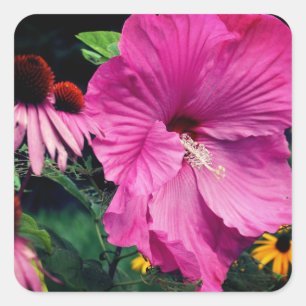 Sticker Carré Fleur Hibiscus Et Amis