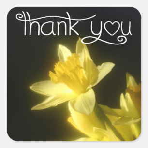 Sticker Carré Fleur Merci Jonquille Jaune Fleur Noir