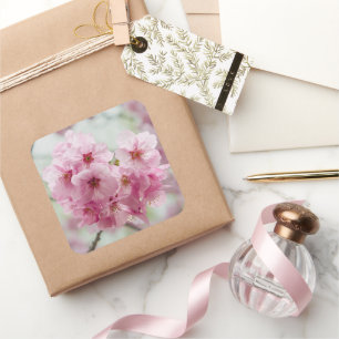 Sticker Carré Fleur rose cerise, Japon Photographie