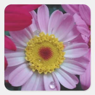 Sticker Carré Fleur rose et jaune