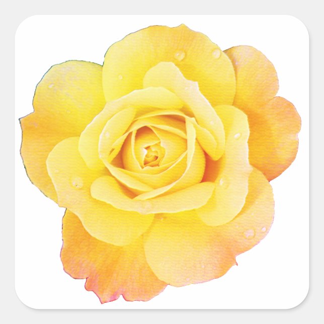Sticker Carré Fleur rose Floral Orange Jaune Printemps de Pâques (Devant)