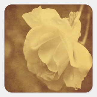 Sticker Carré Fleur Rose Vintage âgée
