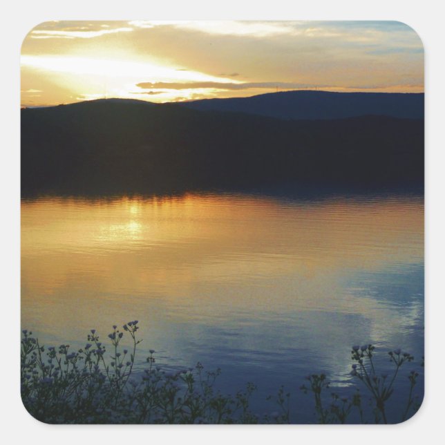 Sticker Carré Fleur sauvage, coucher de soleil bleu (Devant)