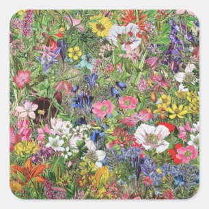 Sticker Carré Fleur sauvage naturel de la floraison botanique