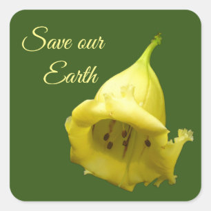 Sticker Carré Fleur tropicale jaune