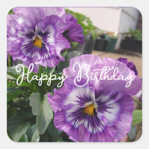 Sticker Carré Fleur violette de pensée florale Bleu Joyeux Anniv
