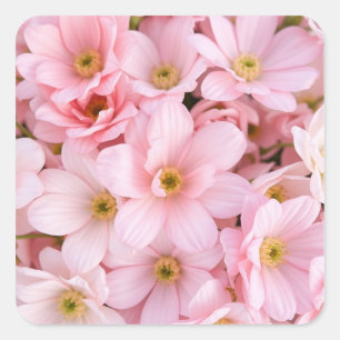 Sticker Carré Fleurs