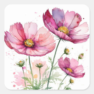 Sticker Carré Fleurs cosmos pourpres