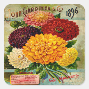 Sticker Carré Fleurs Dahlia Vintages colorées