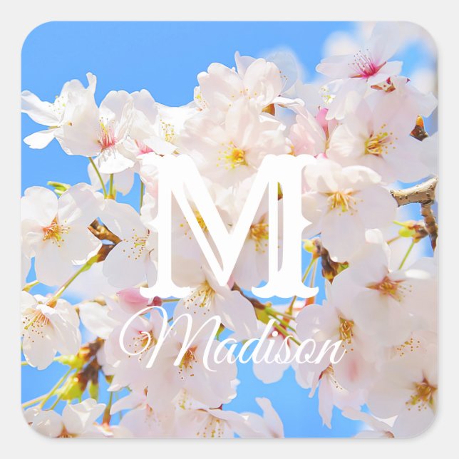 Sticker Carré Fleurs de cerisiers au printemps (Devant)