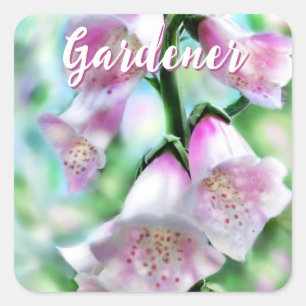 Sticker Carré Fleurs de digitale florales rose personnalisées po