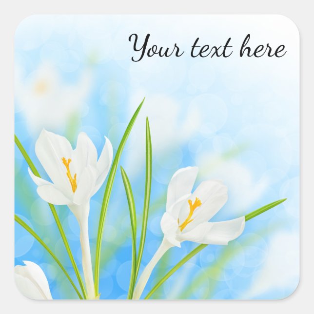 Sticker Carré Fleurs de printemps (crocus blanc) (Devant)