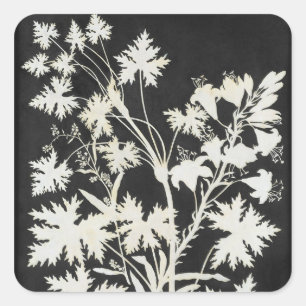 Sticker Carré Fleurs en silhouette
