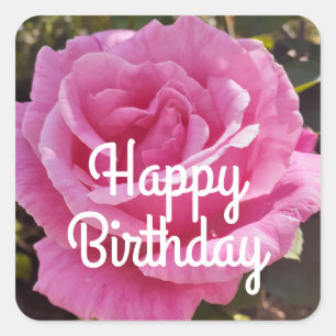 Sticker Carré Fleurs florales roses Roses rose