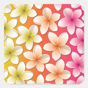 Sticker Carré Fleurs frangipani/Plumeria
