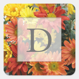 Sticker Carré Fleurs marguerites d'automne rouge, jaune, orange.