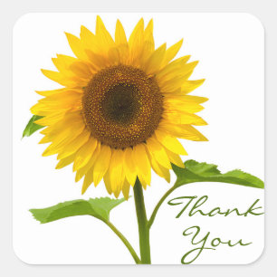 Sticker Carré Fleurs Merci Jaune & Vert Fleur de Tournesol
