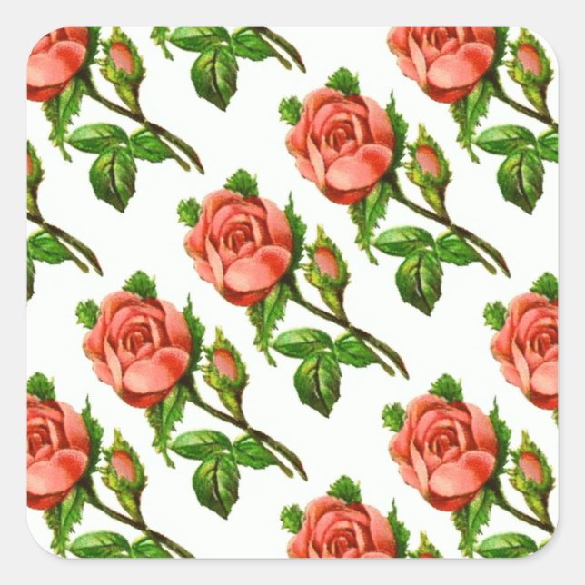 Sticker Carré Fleurs roses Fleurs roses Roses anglaises Autocoll (Devant)