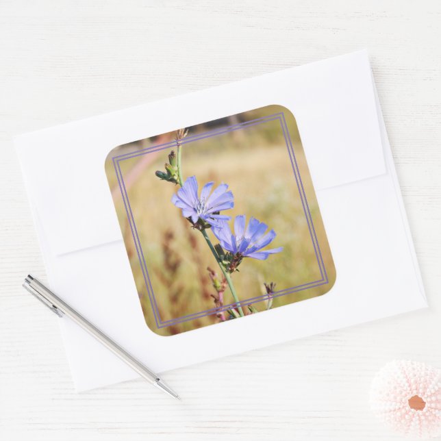 Sticker Carré Fleurs sauvages le matin (Enveloppe)