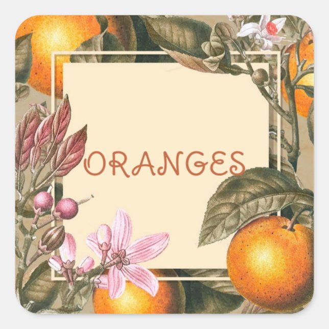 Sticker Carré Fleurs Vintage et Oranges (Devant)
