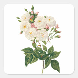 Sticker Carré Fleurs vintages Flore Blush Noisette Rose Redoute