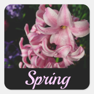 Sticker Carré Floral Pink Hyacinth