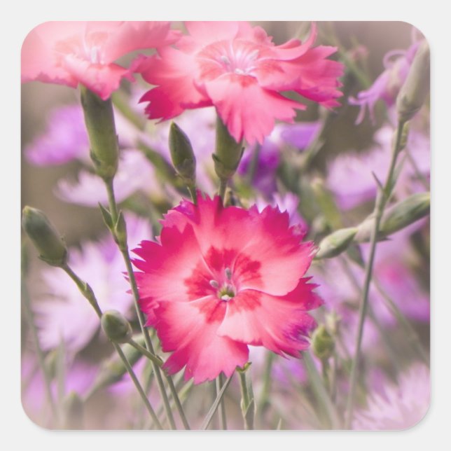 Sticker Carré Flore printanière (Devant)