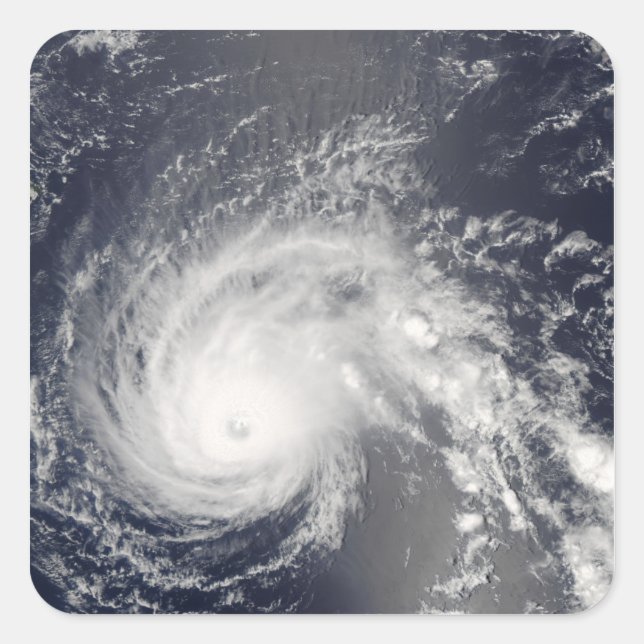 Sticker Carré Flotte d'ouragan (Devant)