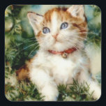 Sticker Carré Fluffy christmas cat Watercolor<br><div class="desc">cat christmas kitten,  painting vintage little artistic ,  lovely baby illustration fashion,  joy pretty paint xmas,  adorable head beautiful scarf,  winter color feline tree,  cute fluffy cartoon sketch ,  watercolor celebration holiday funny,  year happy draft art,  christmas cat kitten animal</div>