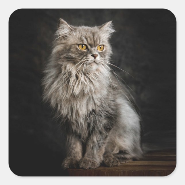 Sticker Carré Fluffy Gris (Devant)