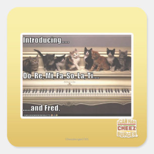 Sticker Carré Font, le Re, MI, fa, ainsi, La, Ti, Fred