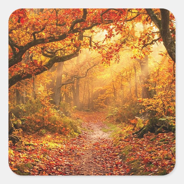 Sticker Carré Forêt d'automne (Devant)