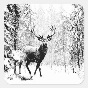 Sticker Carré Forêt hivernale de Stade Deer Wildlife Animal Natu