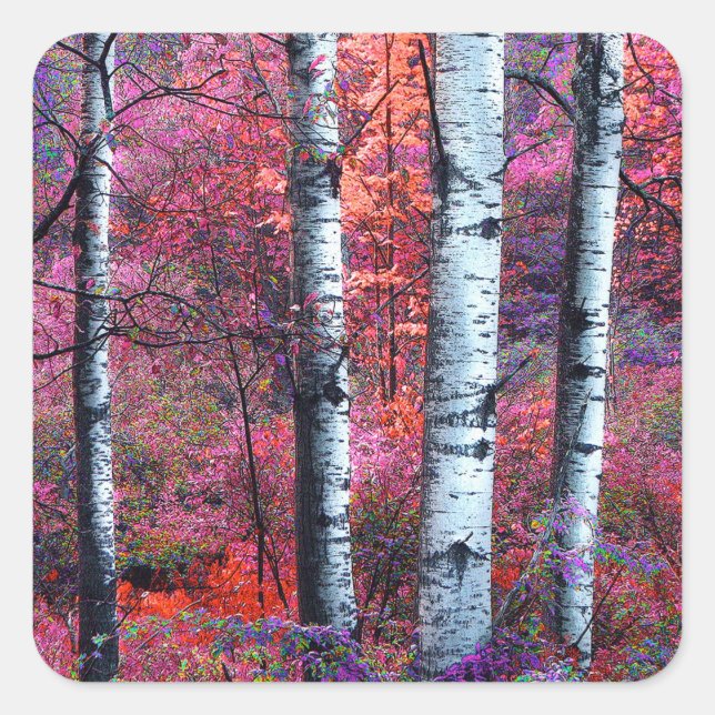 Sticker Carré Forêt magique (Devant)