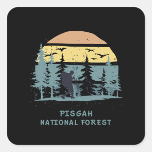 Sticker Carré Forêt nationale de Pisgah