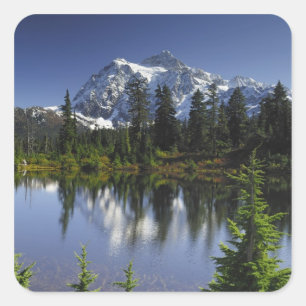 Sticker Carré Forêt nationale du Mont Baker-Snoqualmie